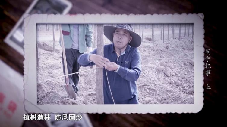 他在闽宁镇种葡萄,曾被人说“脑子进水”,如今大奖拿到手软